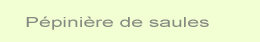 pépinière